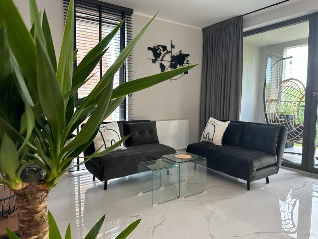 Apartament Centrum II 比得哥什 外观 照片