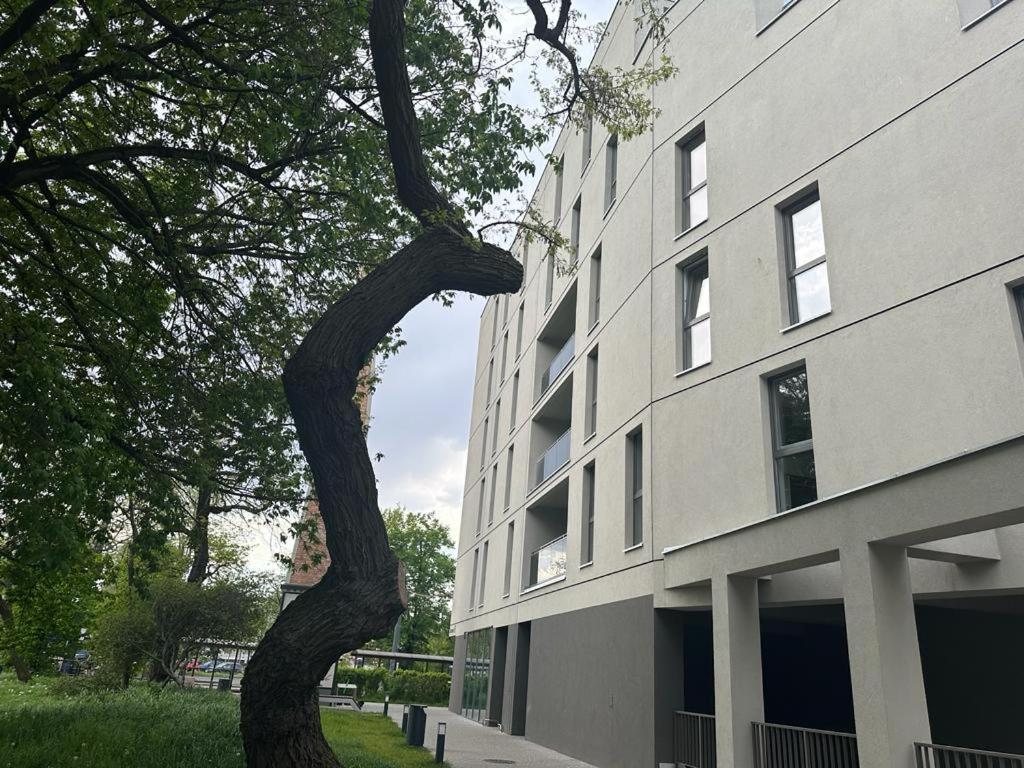 Apartament Centrum II 比得哥什 外观 照片